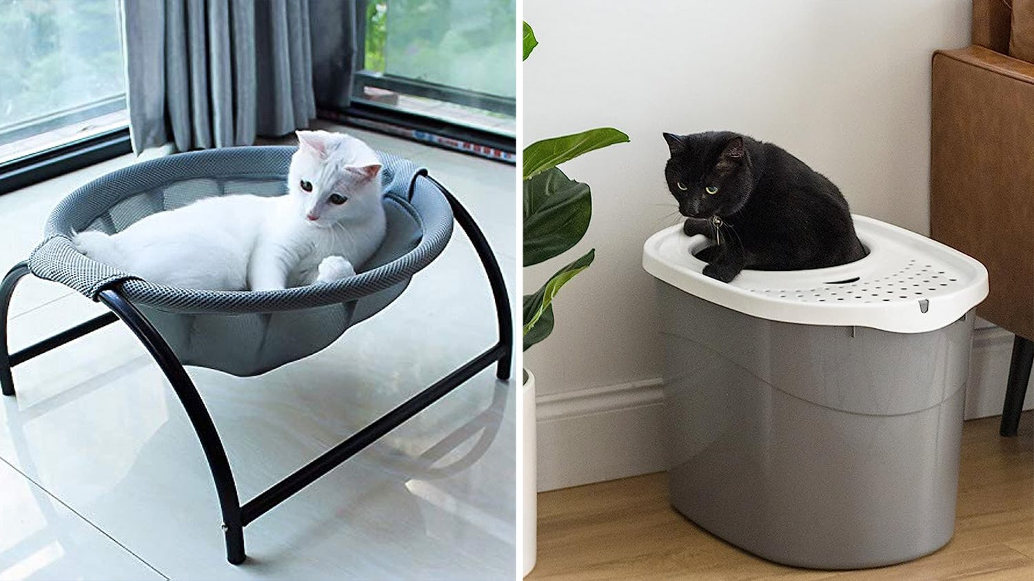 The 30 most genius cat products with nearperfect Amazon reviews