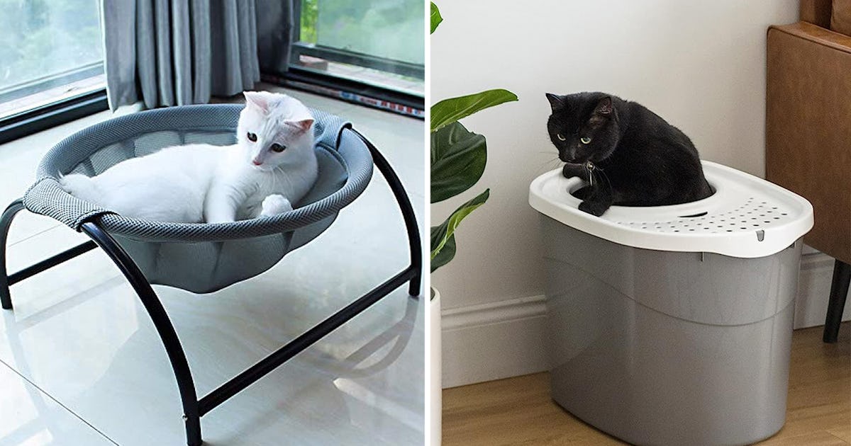 The 30 most genius cat products with nearperfect Amazon reviews