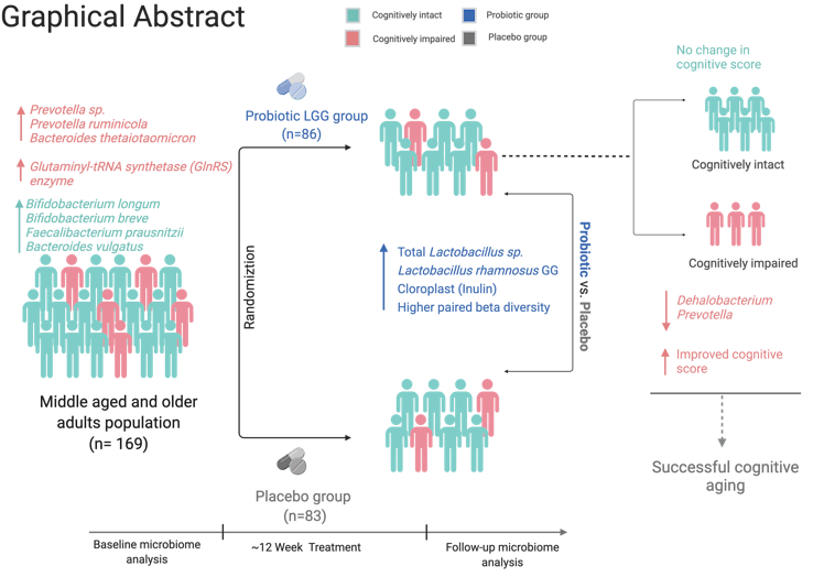 flow chart showing how study participants clustered into placebo groups and those receiving the supp...