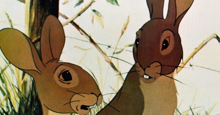 Still from the 1978 animated movie 'Watership Down'
