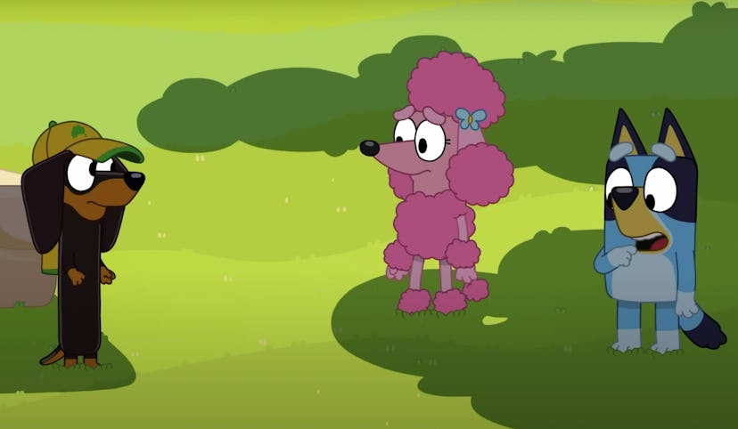 A screenshot from Season 1, Episode 5 of 'Bluey'
