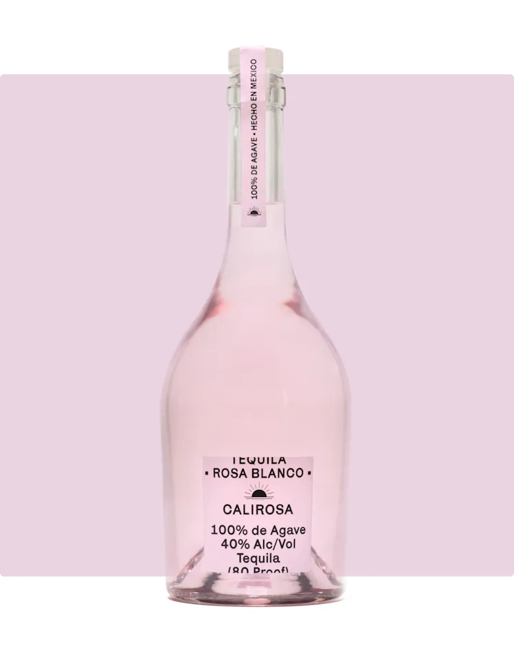 Alcohol Angel Rosa Behati Prinsloo's Go-To Summer Cocktail Is So Easy To Whip Up