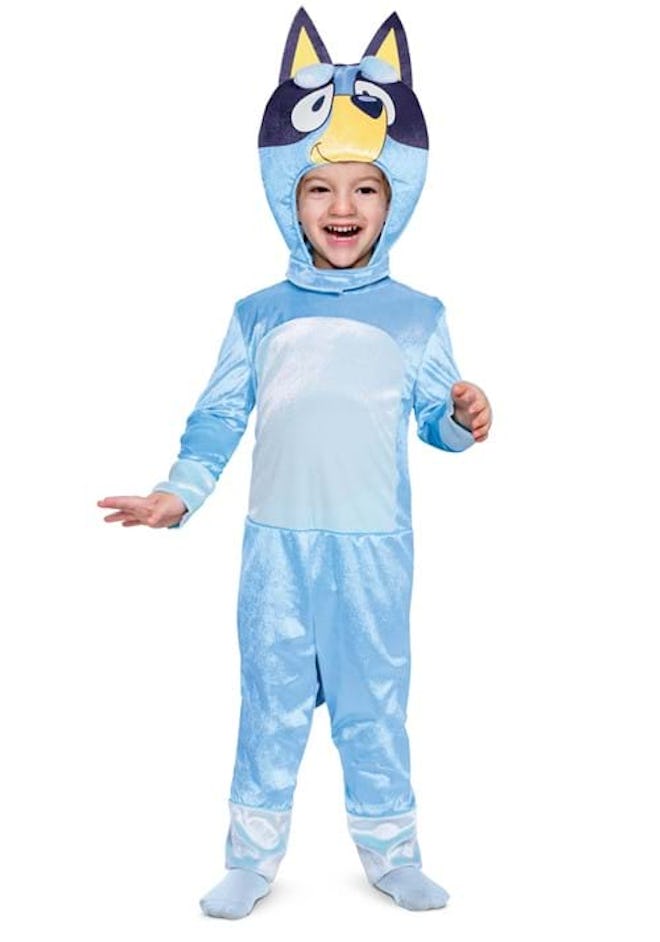 Kid's Classic Toddler Bluey Costume