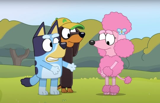The 'Bluey' episode "Shadowlands" premiered in Season 1. 