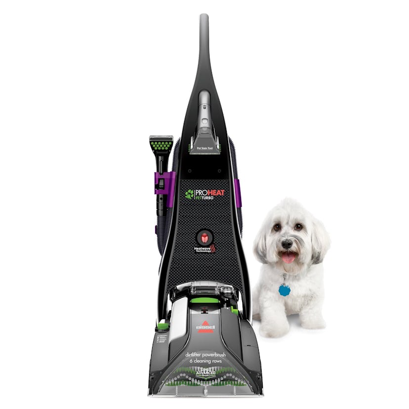 Proheat Pet Turbo Carpet Cleaner 