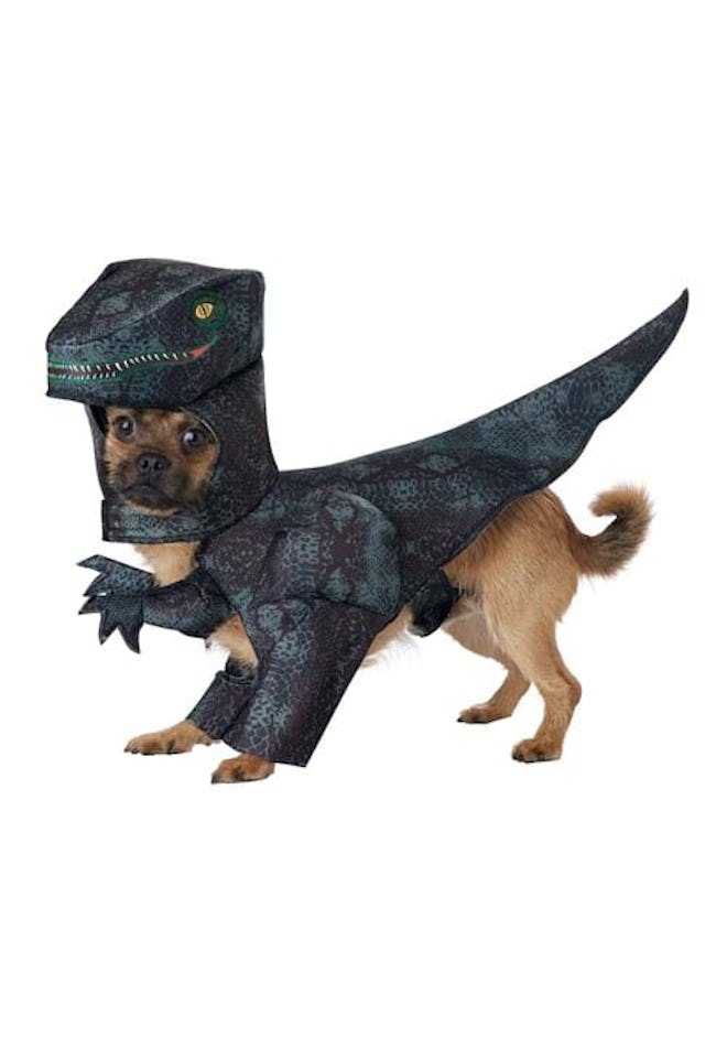 Pupasaurus Rex Pet Costume for Dogs