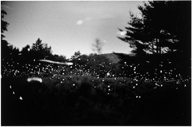 Gregory Crewdson. Untitled (12-35), Fireflies series, silver gelatin print, 1996. Courtesy of the ar...