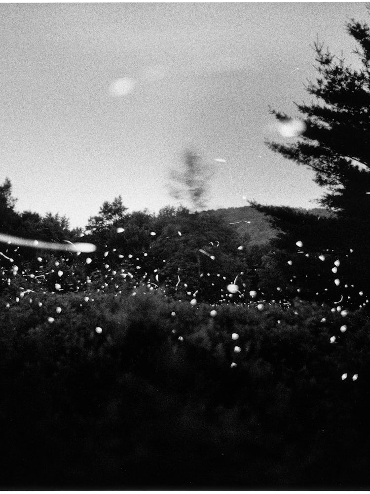 Gregory Crewdson. Untitled [12-35], Fireflies series, silver gelatin print, 1996. Courtesy of the ar...
