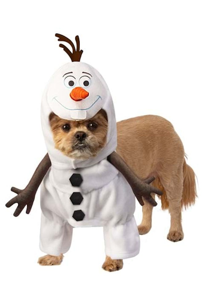 Frozen Olaf Pet Costume