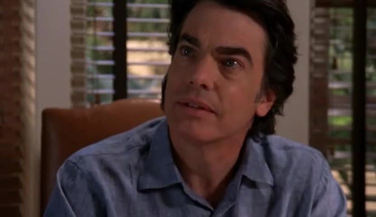 Peter Gallagher as Sandy Cohen on 'The OC', the character for Virgo zodiac signs.