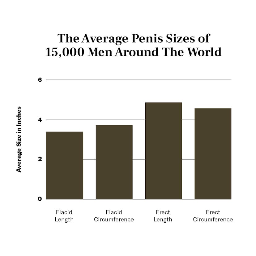 Graph showing the average penis sizes around the world.