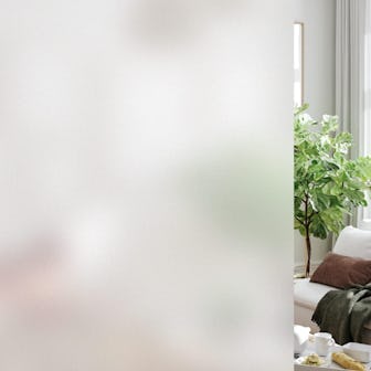 HIDBEA Frosted Window Privacy Film