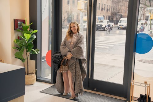 ‘And Just Like That...’ Season 2, Episode 8 Recap: Did the Chicken or Aidan Come First? 8 Photograph by Craig Blankenhorn/Max