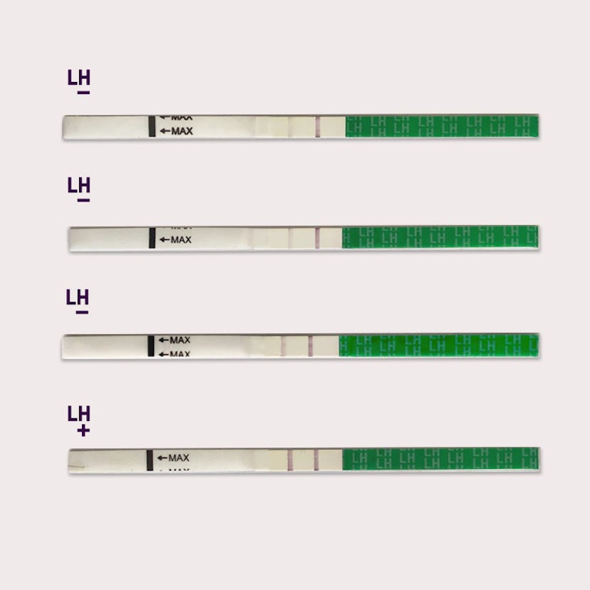Ovulation test photos for the natural cycles lh test strips