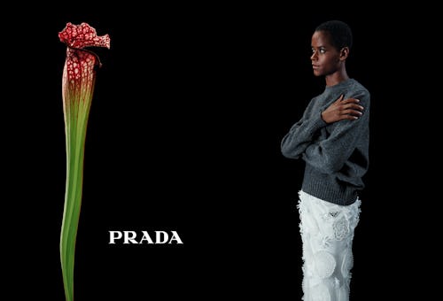 Photograph by Willy Vanderperre. Courtesy of Prada