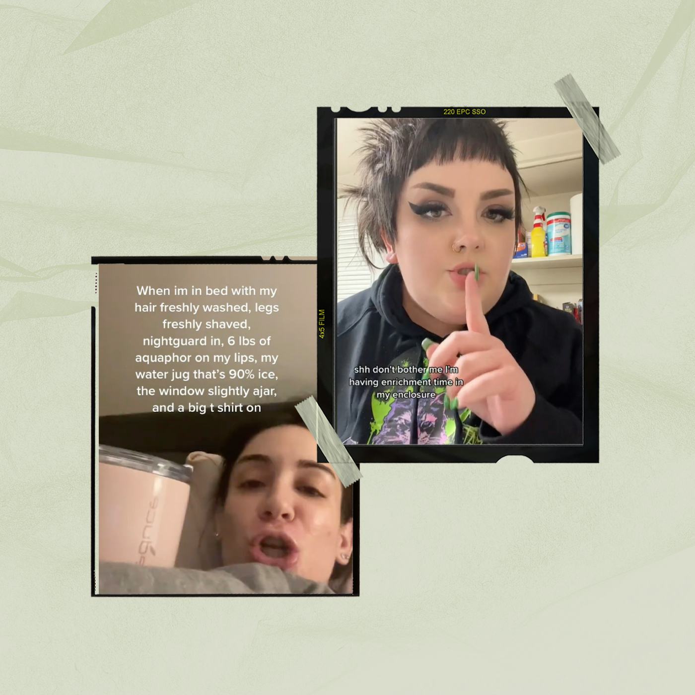 TikTok's "enrichment time in my enclosure" trend is a big mood.