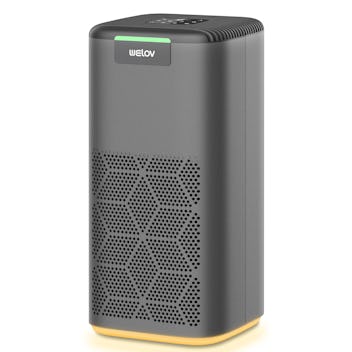 WELOV P200S Air Purifier