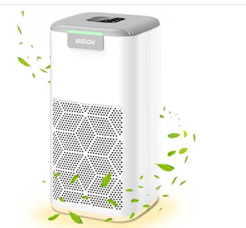 WELOV P200S Air Purifier