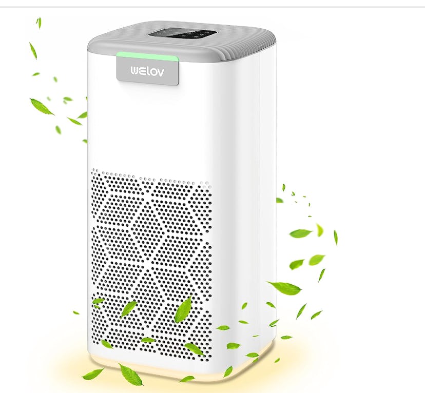 WELOV P200S Air Purifier