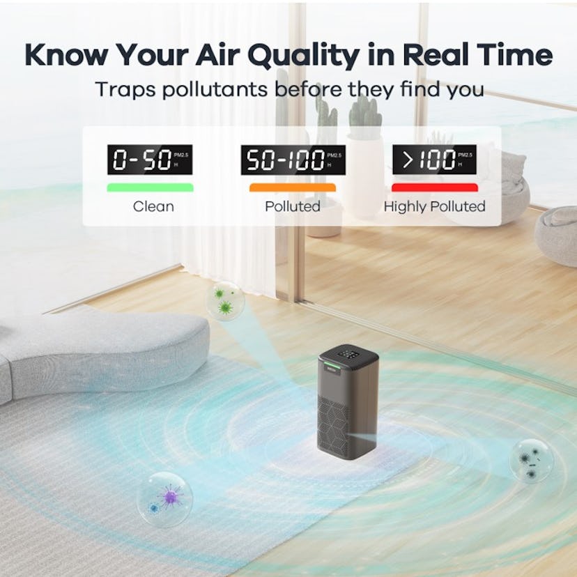 WELOV P200S Air Purifier