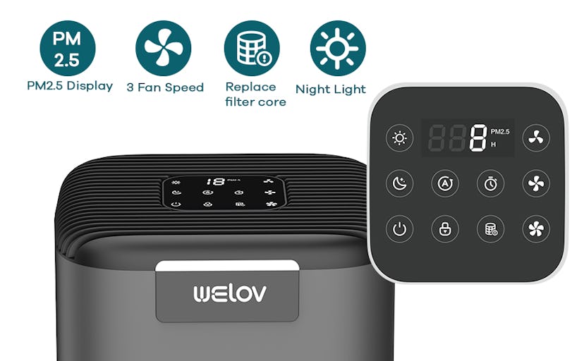 WELOV P200S Air Purifier