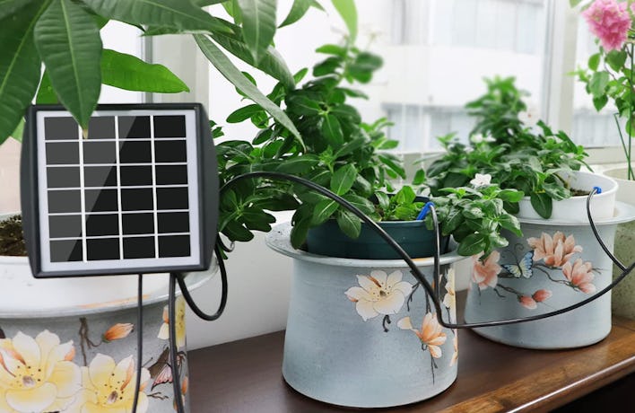 JIYANG Solar-Powered Plant Self-Watering Device