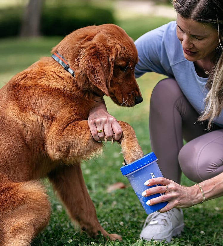 Dexas MudBuster Portable Dog Paw Washer