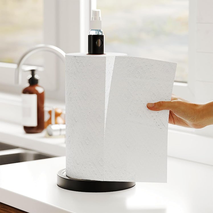 SpaceAid 2 in 1 Paper Towel Holder with Spray Bottle