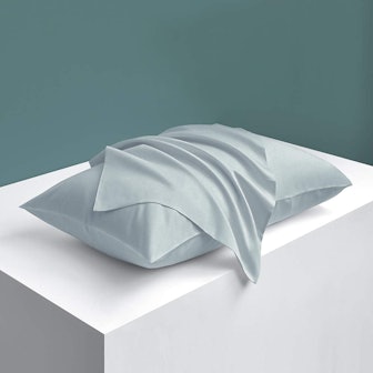 NTBAY Zippered Satin Pillow Cases (2-Pack)