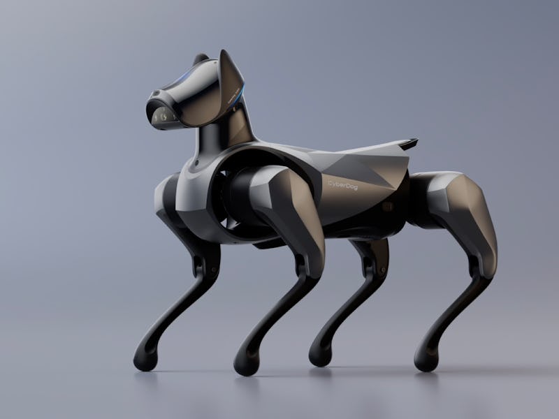 Xiaomi CyberDog 2