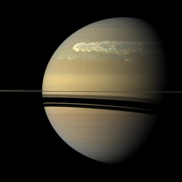The huge storm churning through the atmosphere in Saturn's northern hemisphere overtakes itself as i...