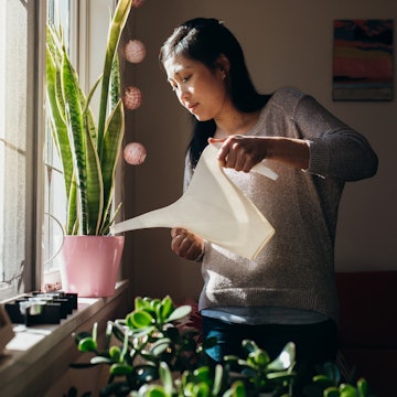 A woman waters a plant.