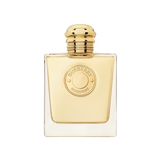 Ombre Nomade Marcoccia perfume - a new fragrance for women and men 2023