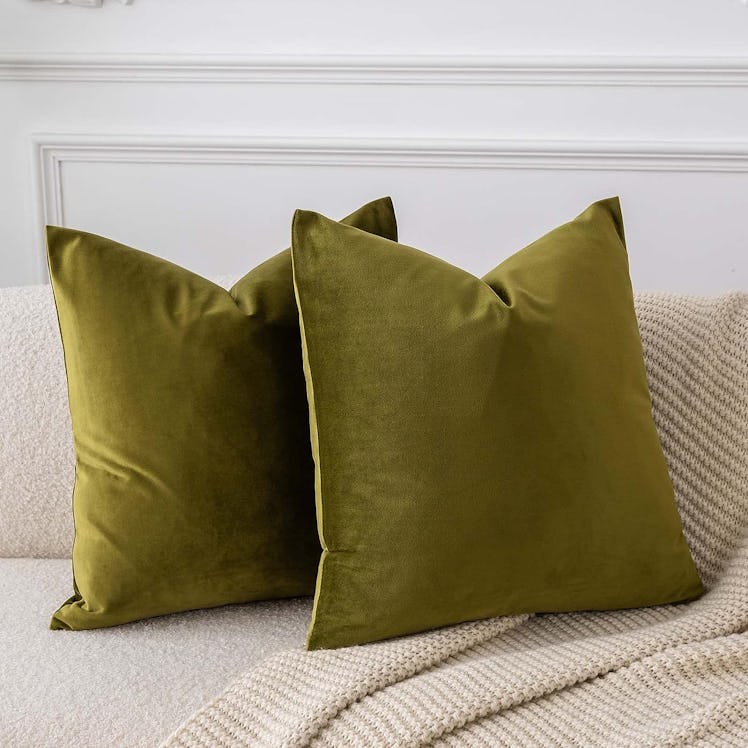 JUSPURBET Velvet Throw Pillow Covers, Set of 2