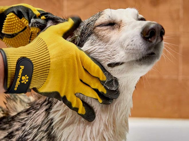 Pawradise Pet Grooming Gloves