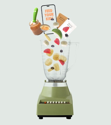 illustration of purees, recipes, apps, all going into the neurotic mama feeding blender