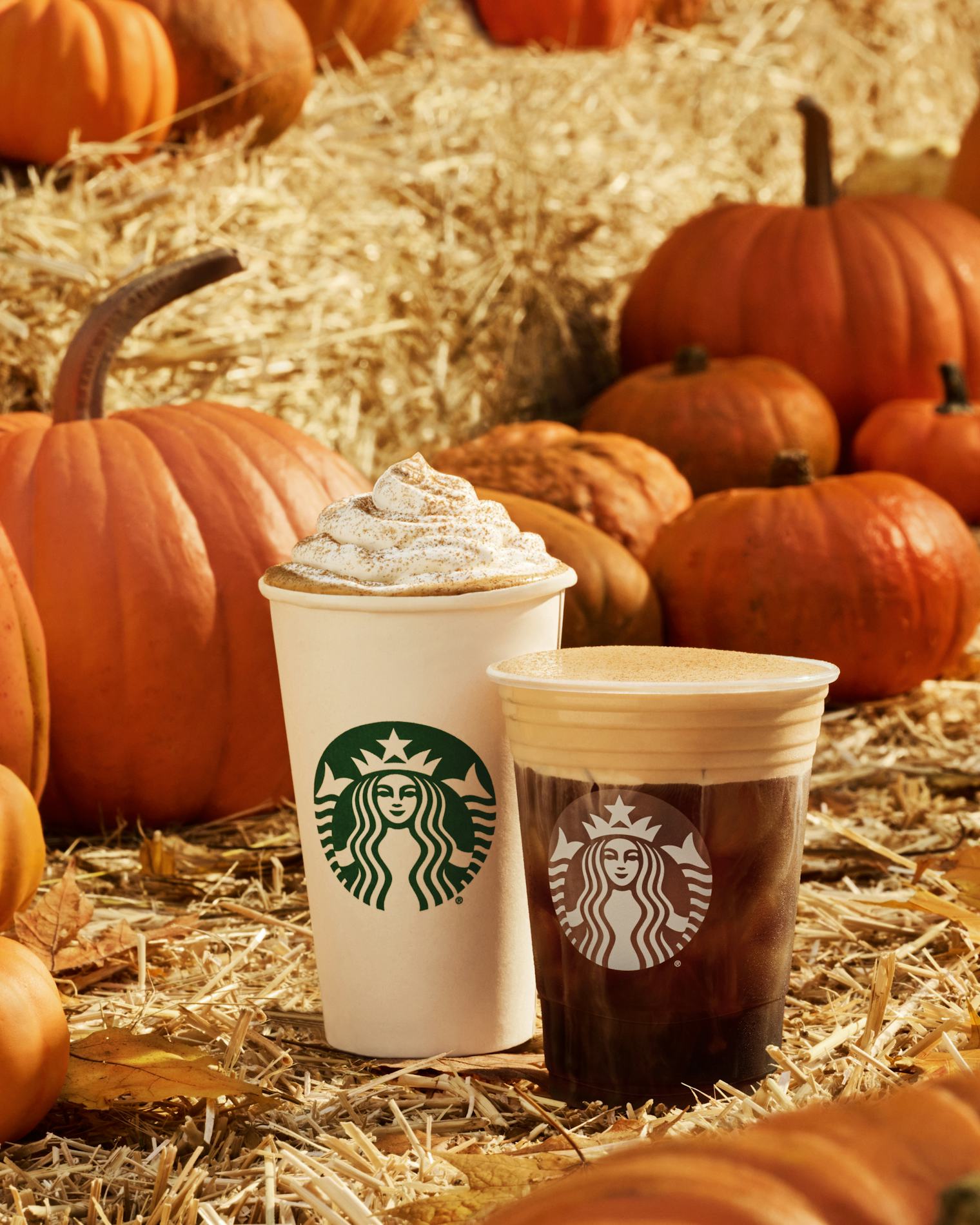 Starbucks 2023 Fall Menu PSL, Pumpkin Cream Cold Brew, & More