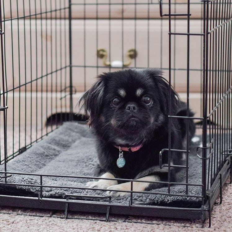 K&H Pet Products Self-Warming Pet Pad