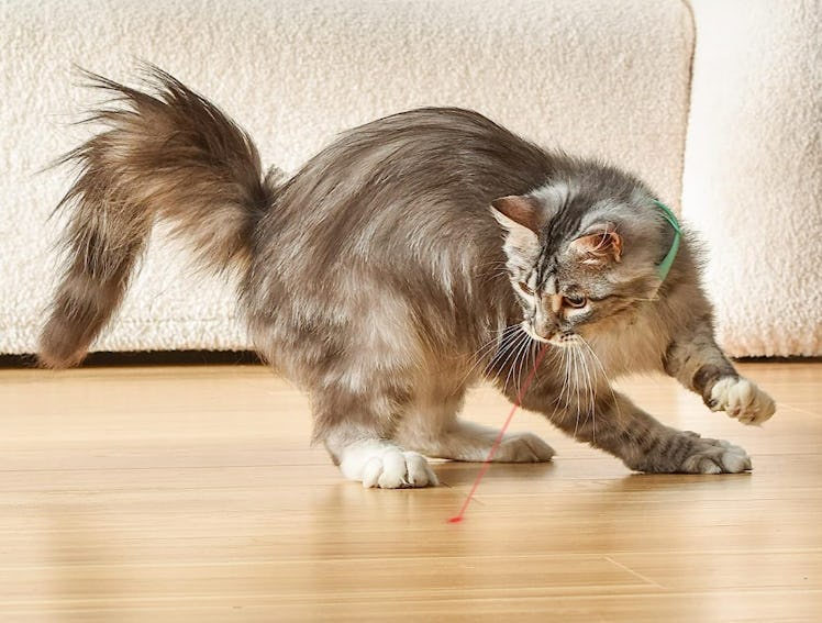 havit Wearable Automatic Cat Toy with LED Lights
