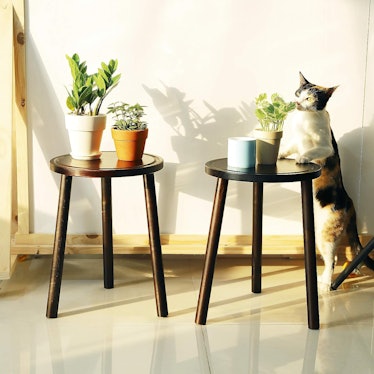 LITADA Wood Plant Stands (2-Pack)