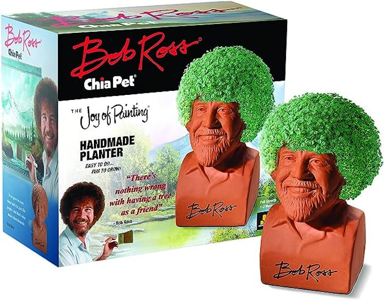 Chia Pet Pottery Planter