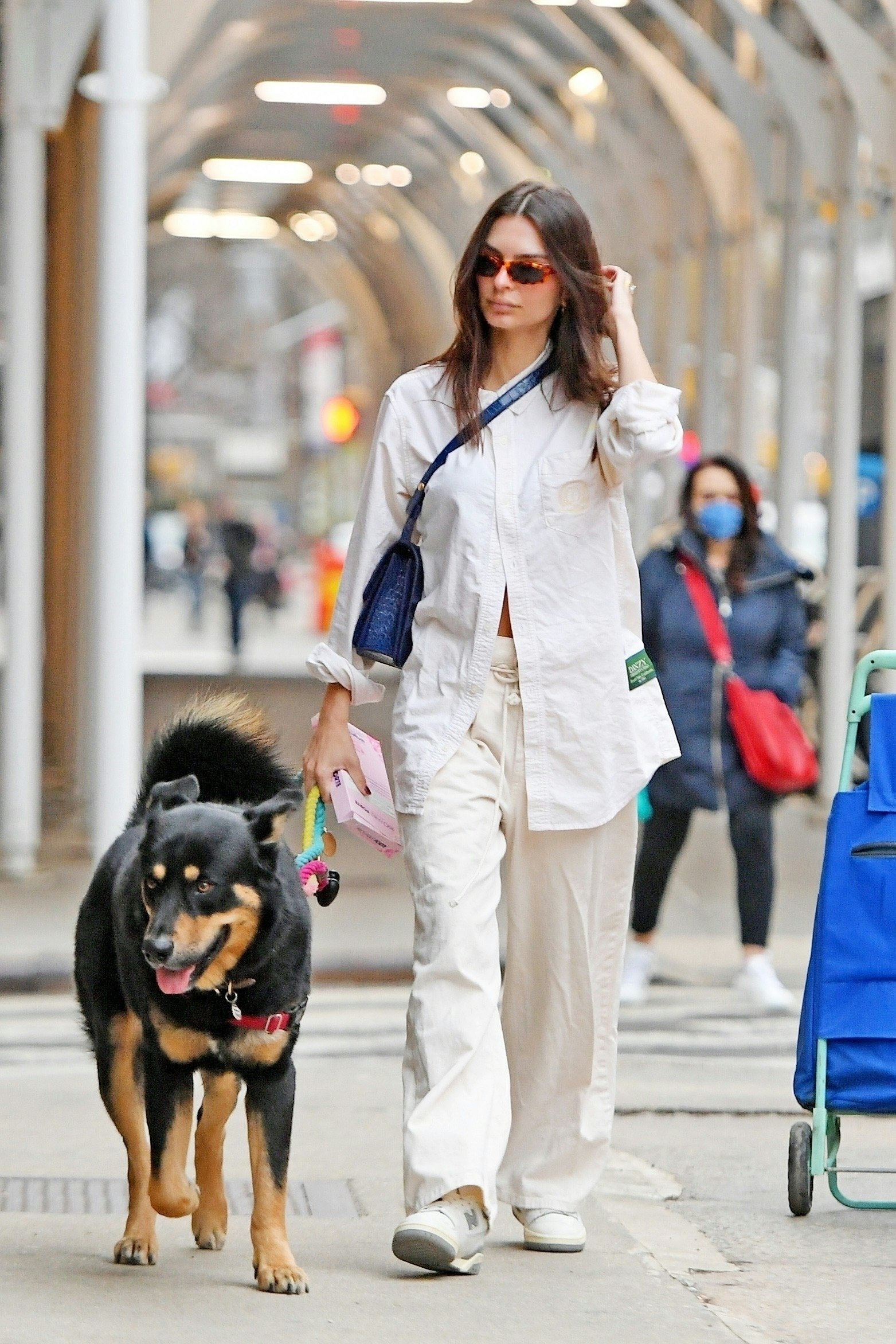 Emily Ratajkowski Walks Dog in Billowing Pants, Crop Top