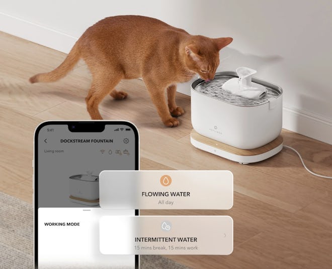 PETLIBRO Dockstream App Monitoring Water Fountain