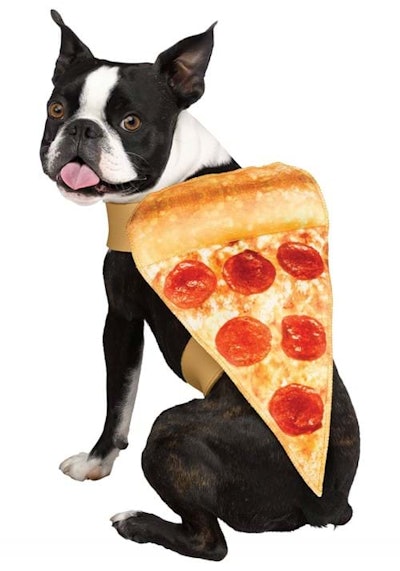 Pizza Costume for Dogs