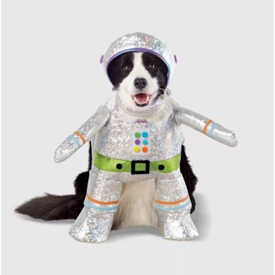 Robot Dog Costume