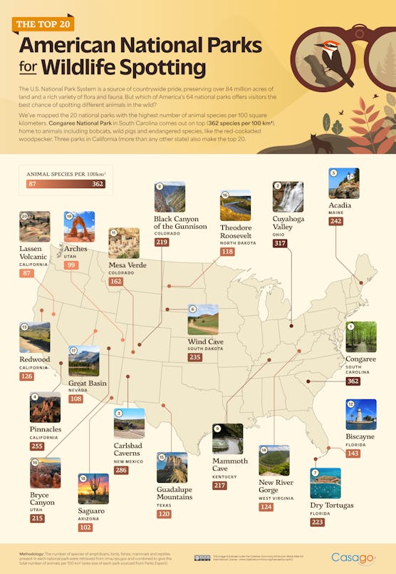 Top 20 National Parks for wildlife spotting