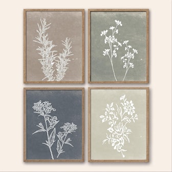 Framed Botanical Print Wall Art (Set of 4) 