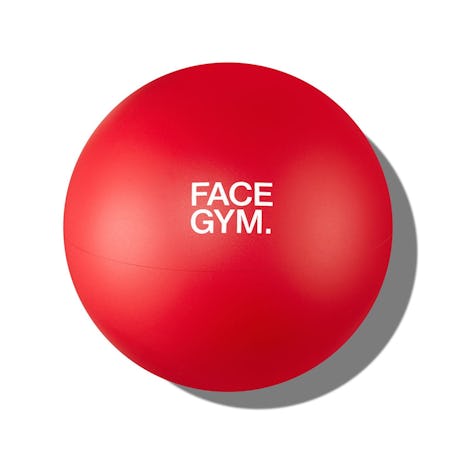 FaceGym Face Ball