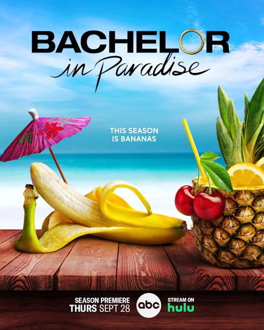 'Bachelor in Paradise' Season 9 premieres in the fall with a dramatic cast.