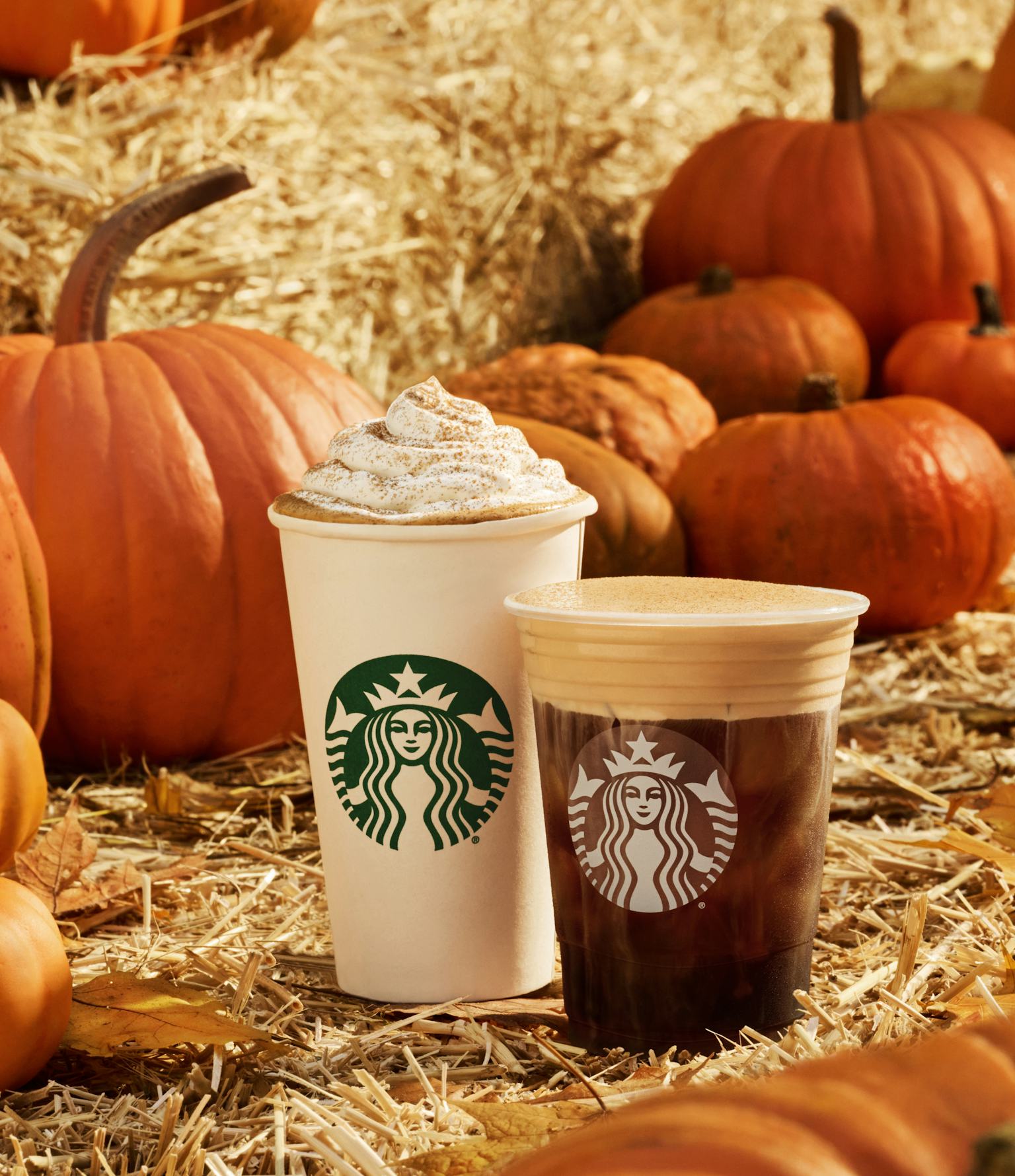 Starbucks Fall 2025 Drinks & Menu Are Back, Including The Pumpkin Spice